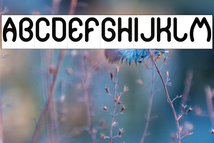 pure and simple everytime-Inver Example 3