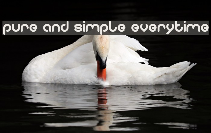 pure and simple everytime Font examples