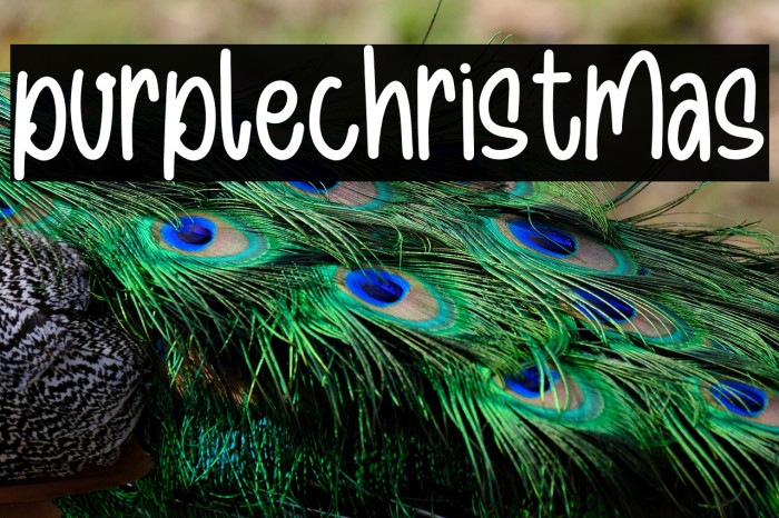 purplechristmas Example 2