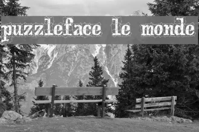 puzzleface le monde フォント examples