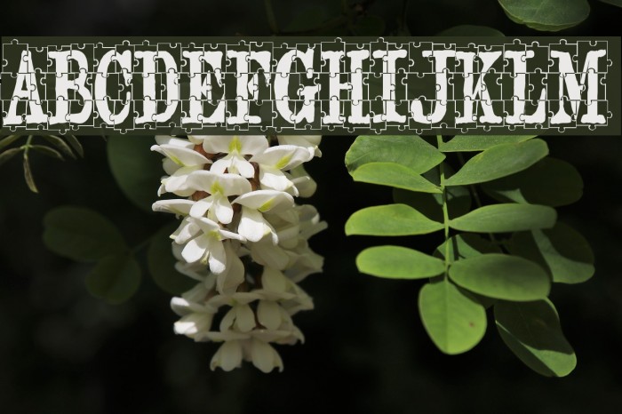 puzzleface Font examples