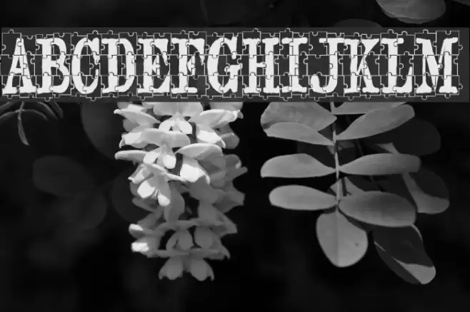 puzzleface Schriftart examples