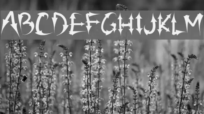 PW Arrow font Font examples