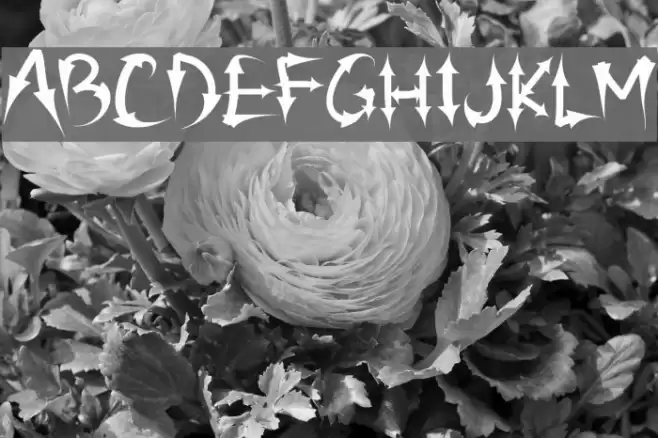PW Arrow font Font examples