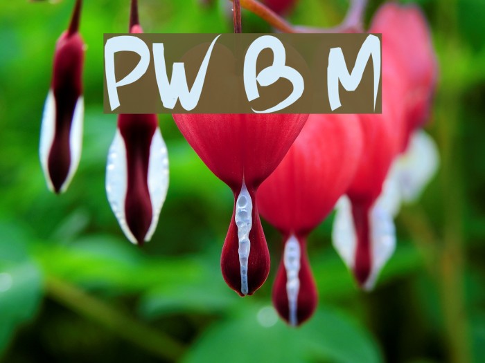 PW Brush Me Example 1