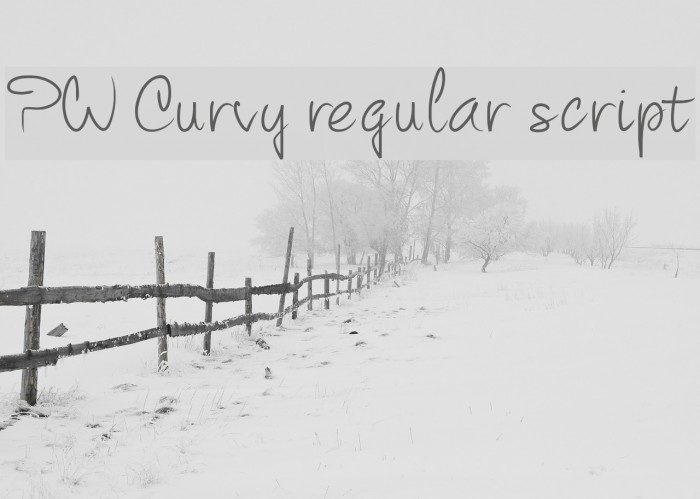 PW Curvy regular script Example 2