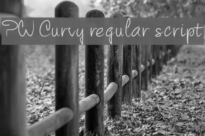 PW Curvy regular script Font examples