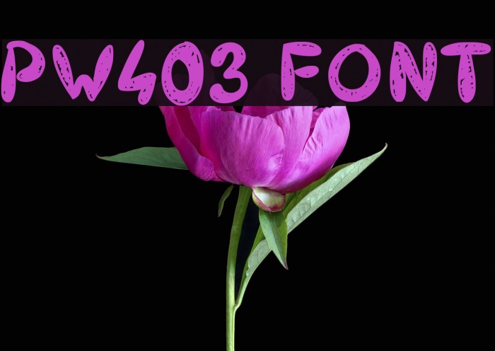 PW403 Font examples