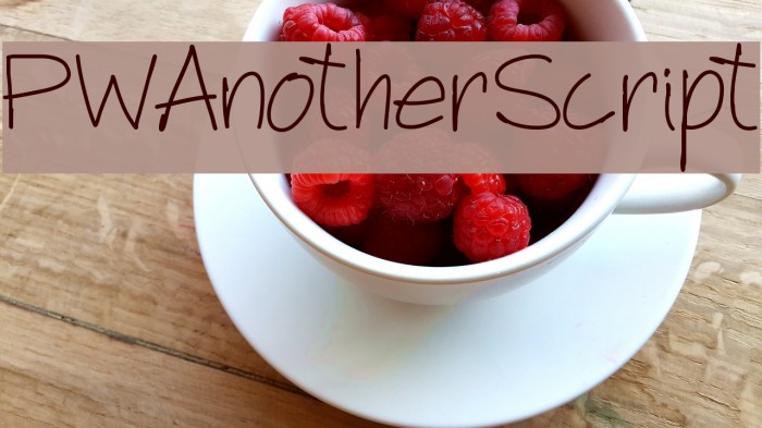 PWAnotherScript Font examples