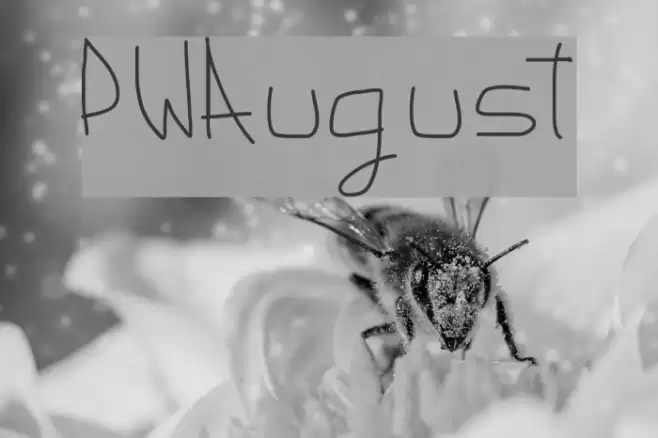 PWAugust Font examples