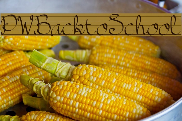 PWBacktoSchool Example 3