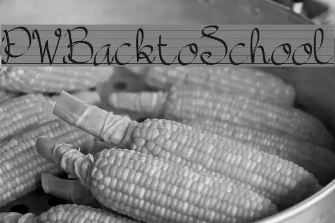 PWBacktoSchool Font examples