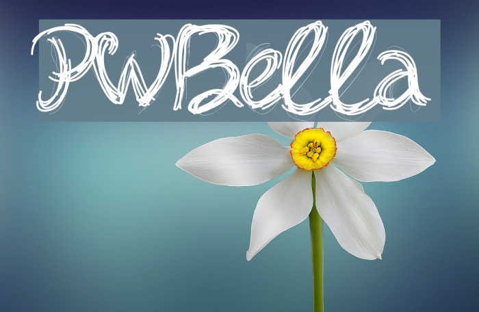 PWBella Font examples