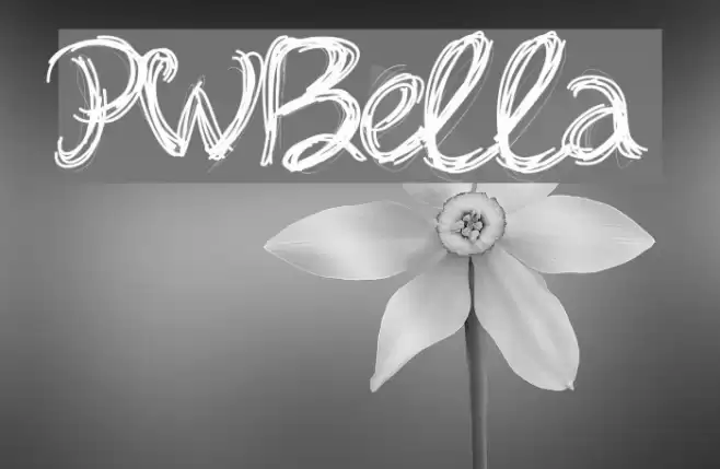 PWBella 字体 examples