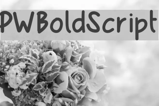 PWBoldScript Font examples