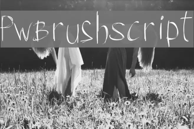 PWBrushScript Font examples