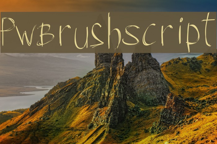 PWBrushScript Font examples