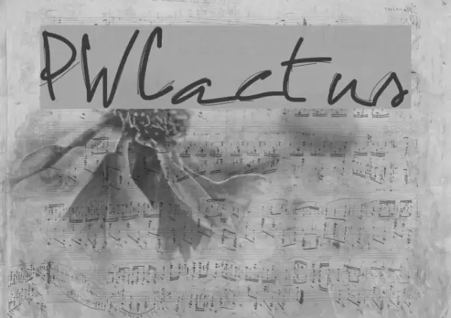 PWCactus Font examples