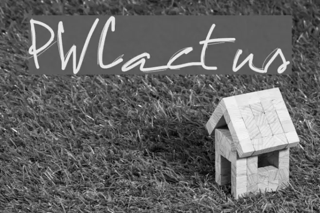 PWCactus Font examples