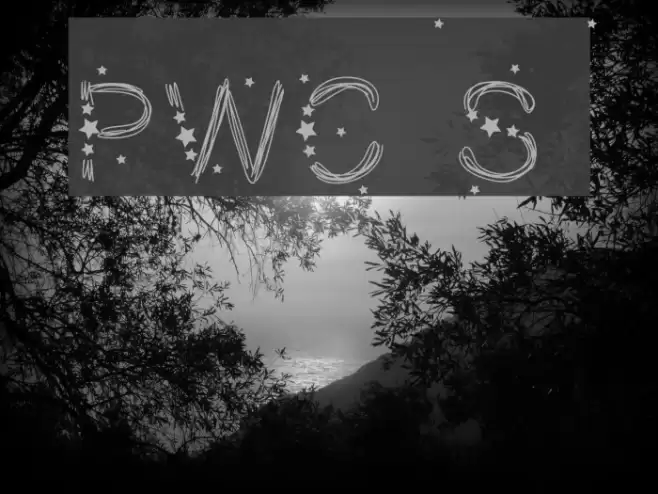 PWChristmasStars Font examples