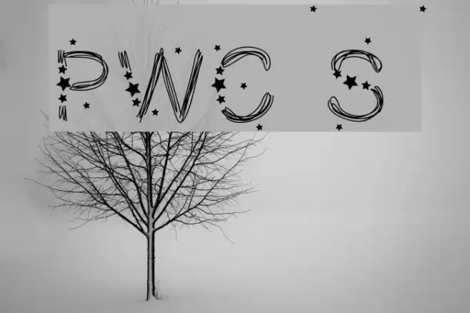 PWChristmasStars Font examples