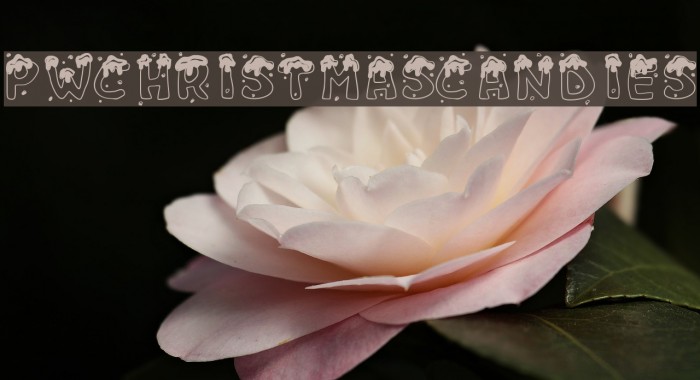 PWChristmascandies Example 2