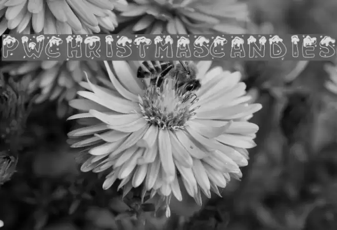 PWChristmascandies Font examples