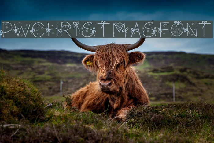 PWChristmasfont Font examples