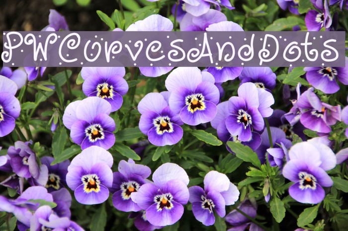 PWCurvesAndDots Example 1