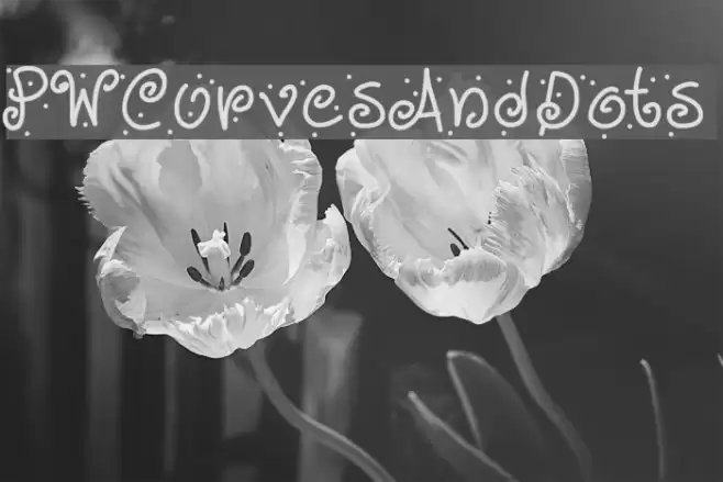 PWCurvesAndDots Font examples