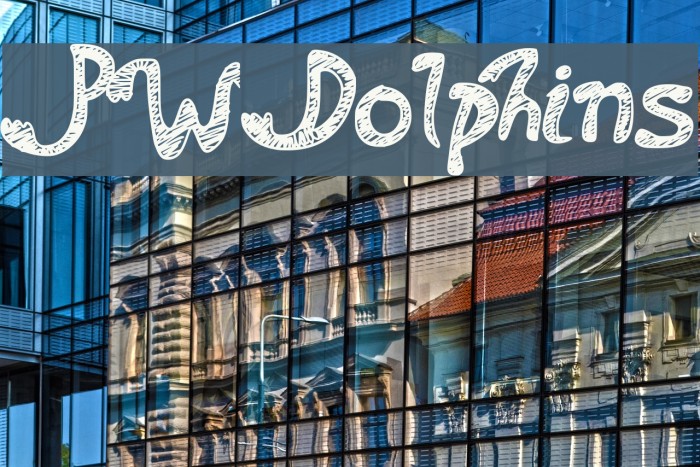 PWDolphins Example 1