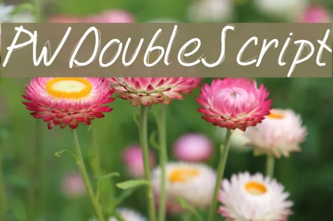 PWDoubleScript Example 1