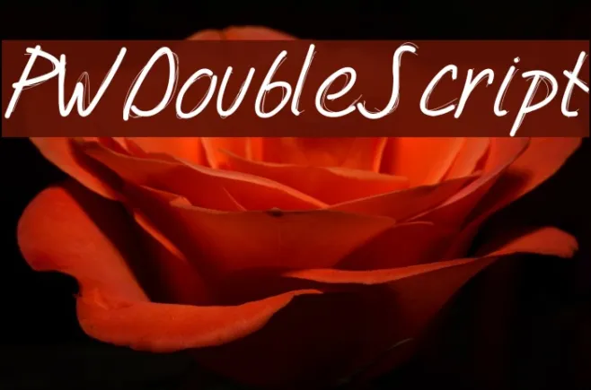 PWDoubleScript Example 3