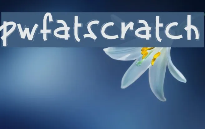 PWFatscratch Example 2