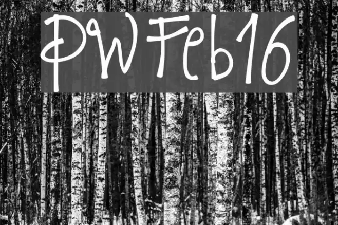 PWFeb16 Font examples