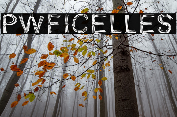 PWFicelles Font examples