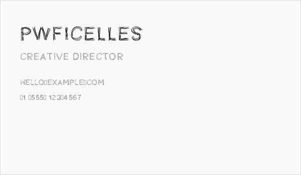 PWFicelles Business Card