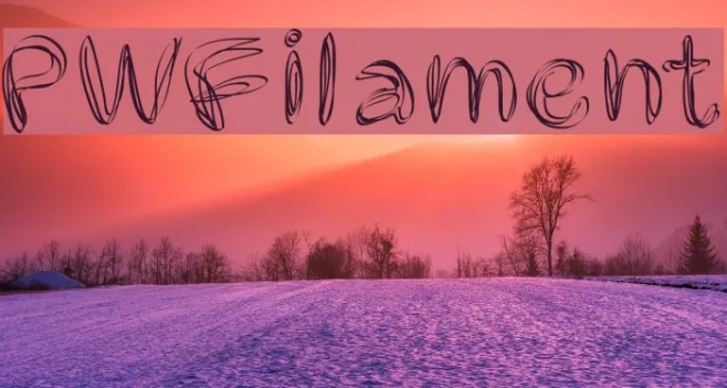 PWFilament Example 2