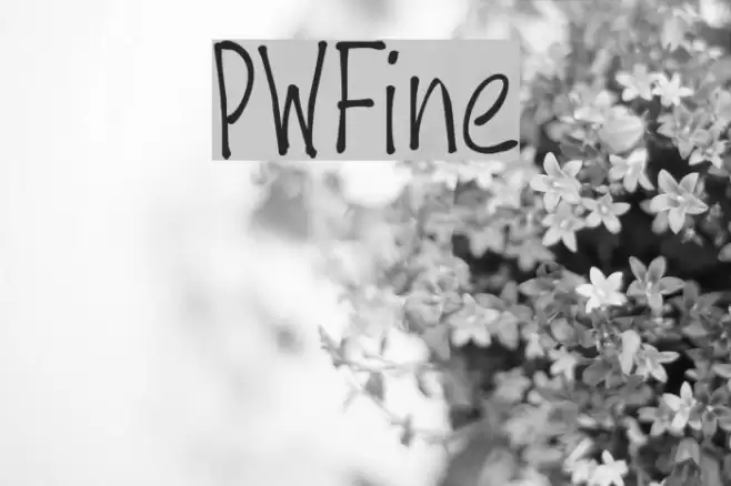 PWFine Font examples