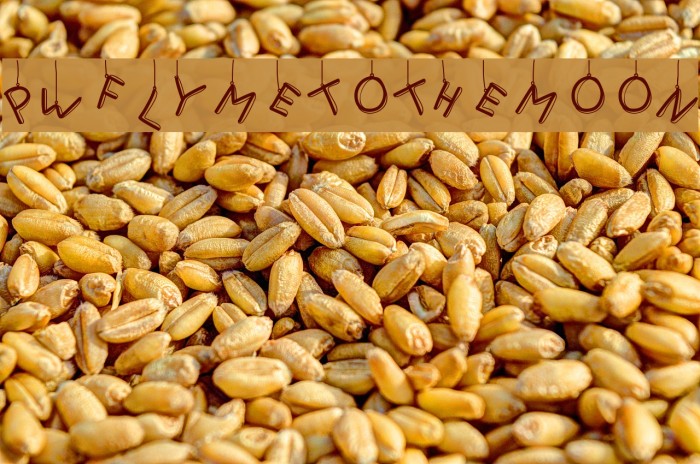 PWFlymetothemoon Example 1