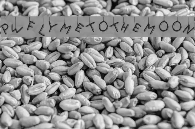 PWFlymetothemoon Font examples