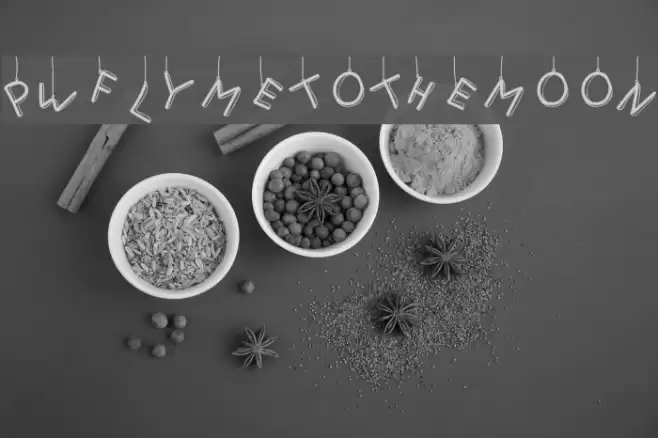 PWFlymetothemoon Font examples