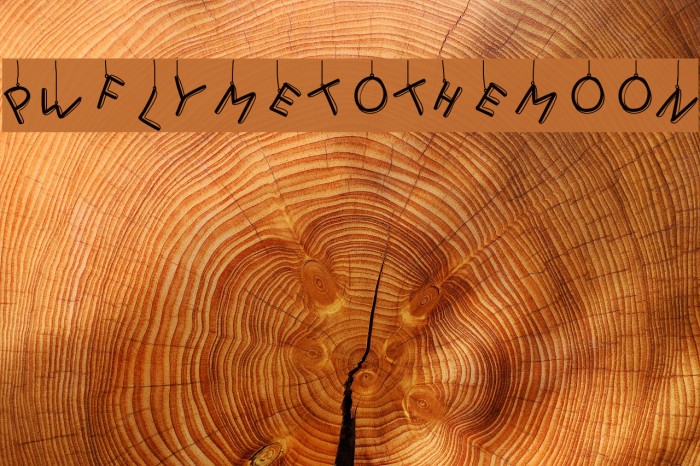 PWFlymetothemoon Example 3