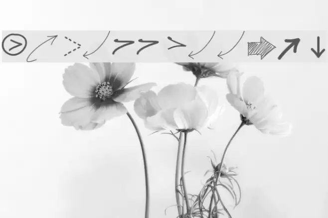 PWFreeArrows Font examples