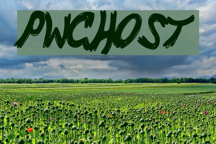 PWGhost Font examples
