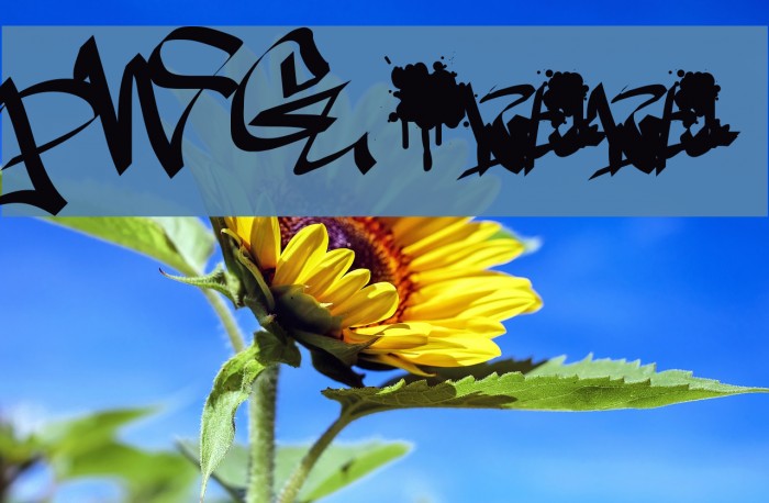 PWGraffiti Example 3