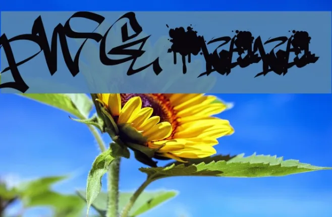 PWGraffiti Example 3
