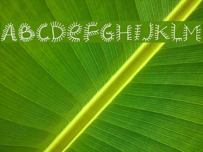 PWHairz Font examples