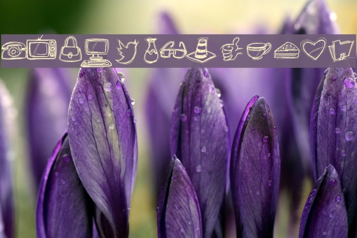 PWIcons Font examples