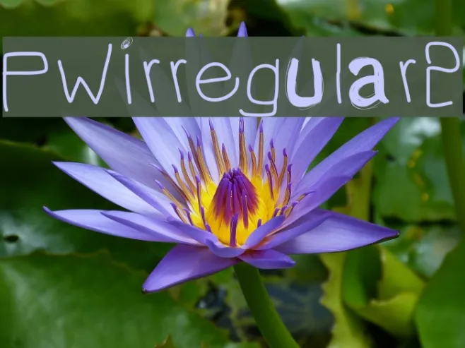 PWIrregular2 Example 3